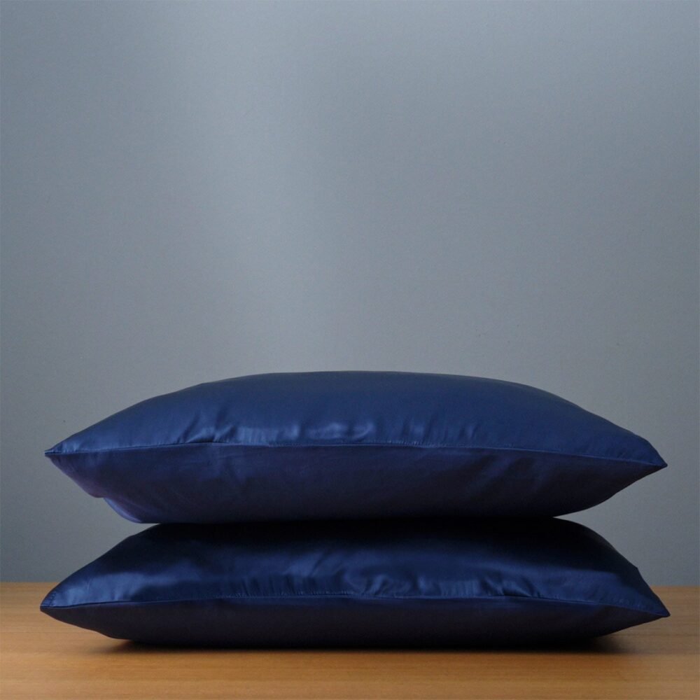 BEAUTYSILK Silk Pillowcase Twin Pack Indigo Pillow